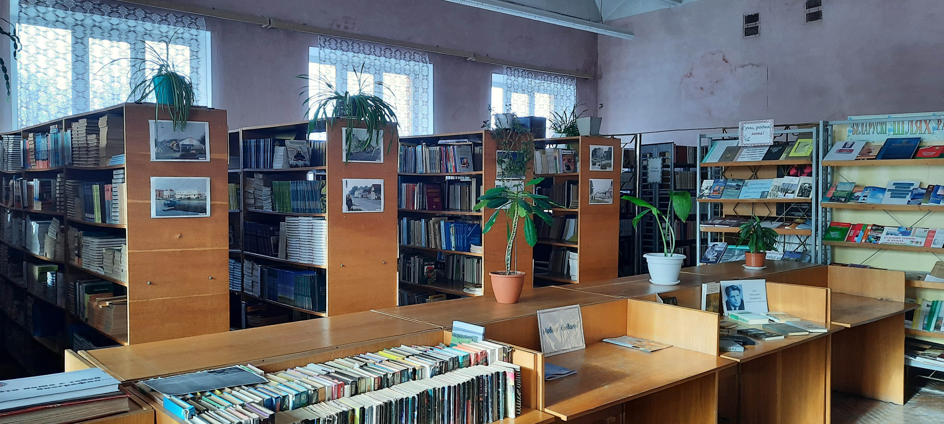 Агульны выгляд фота 2