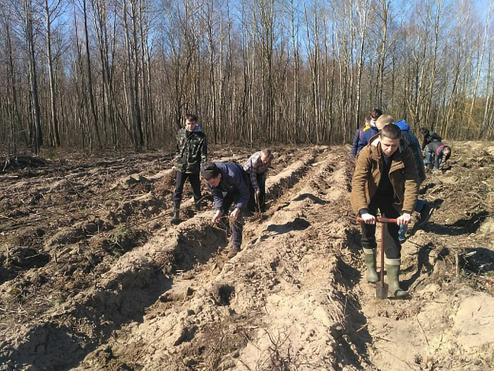 Акция Озеленим нашу планету фото 3