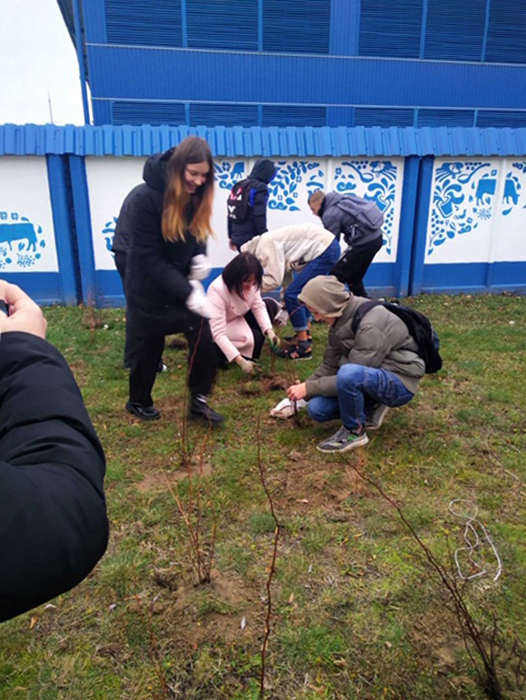 Благоустройство города фото 3