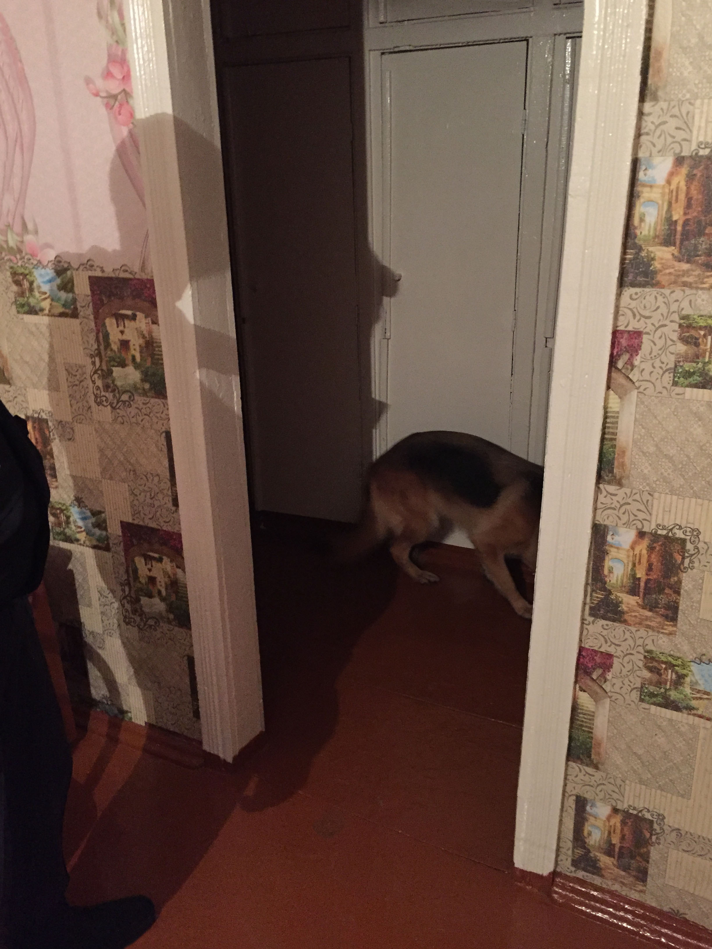 Рейд РОВД в общежитии фото 4