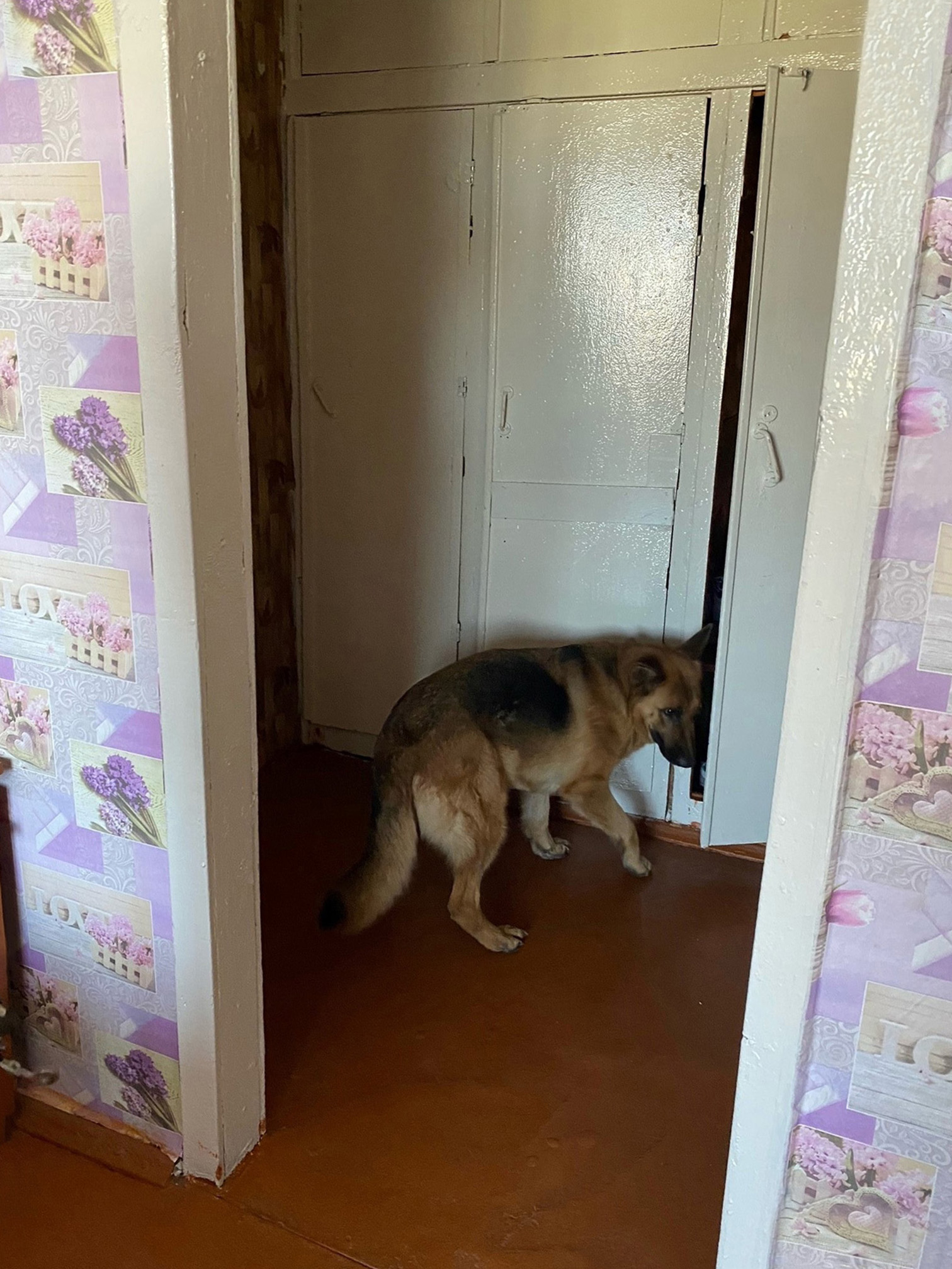 Рейд в общежитии лицея фото 5