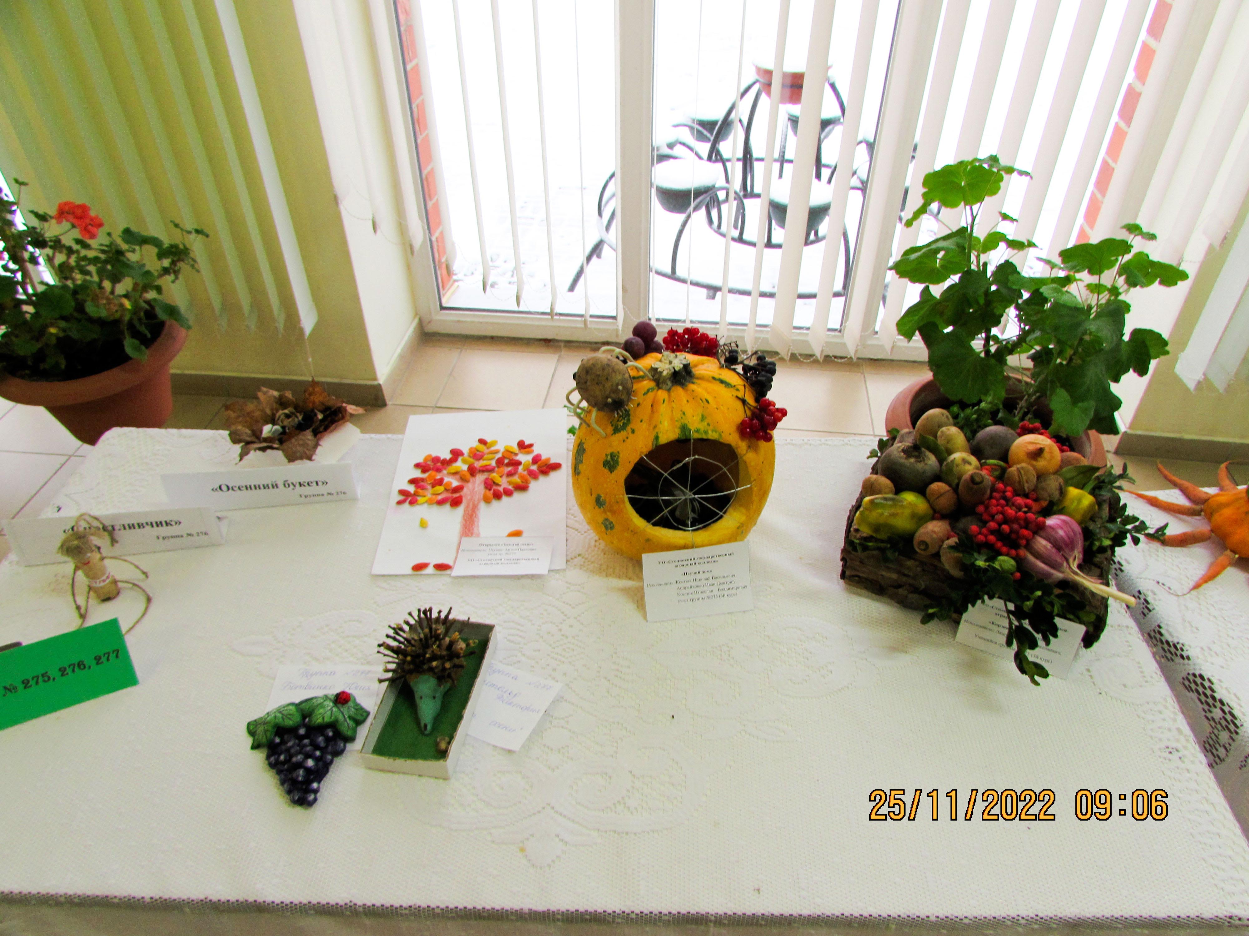 Ярмарка-конкурс Дары осени фото 3