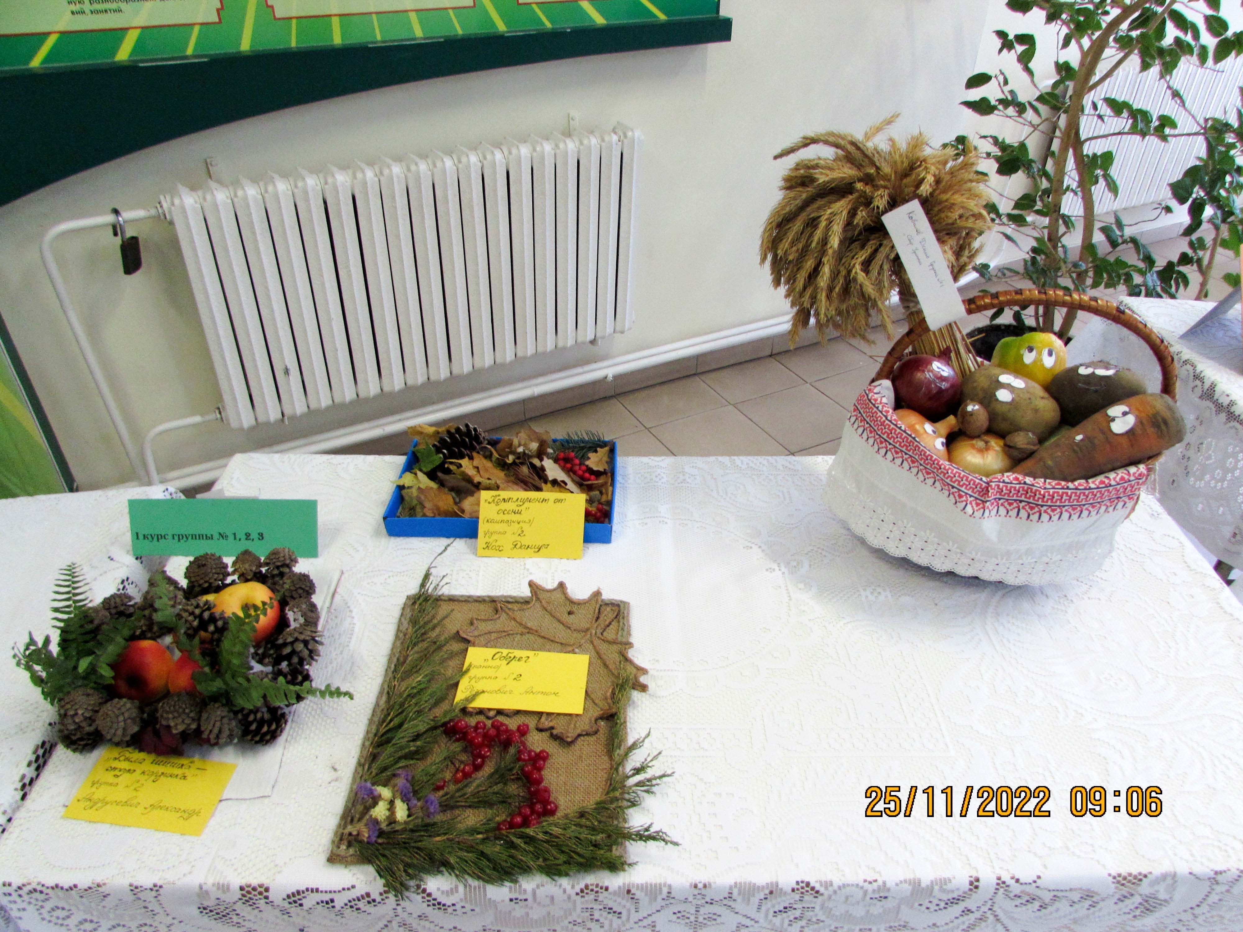 Ярмарка-конкурс Дары осени фото 5