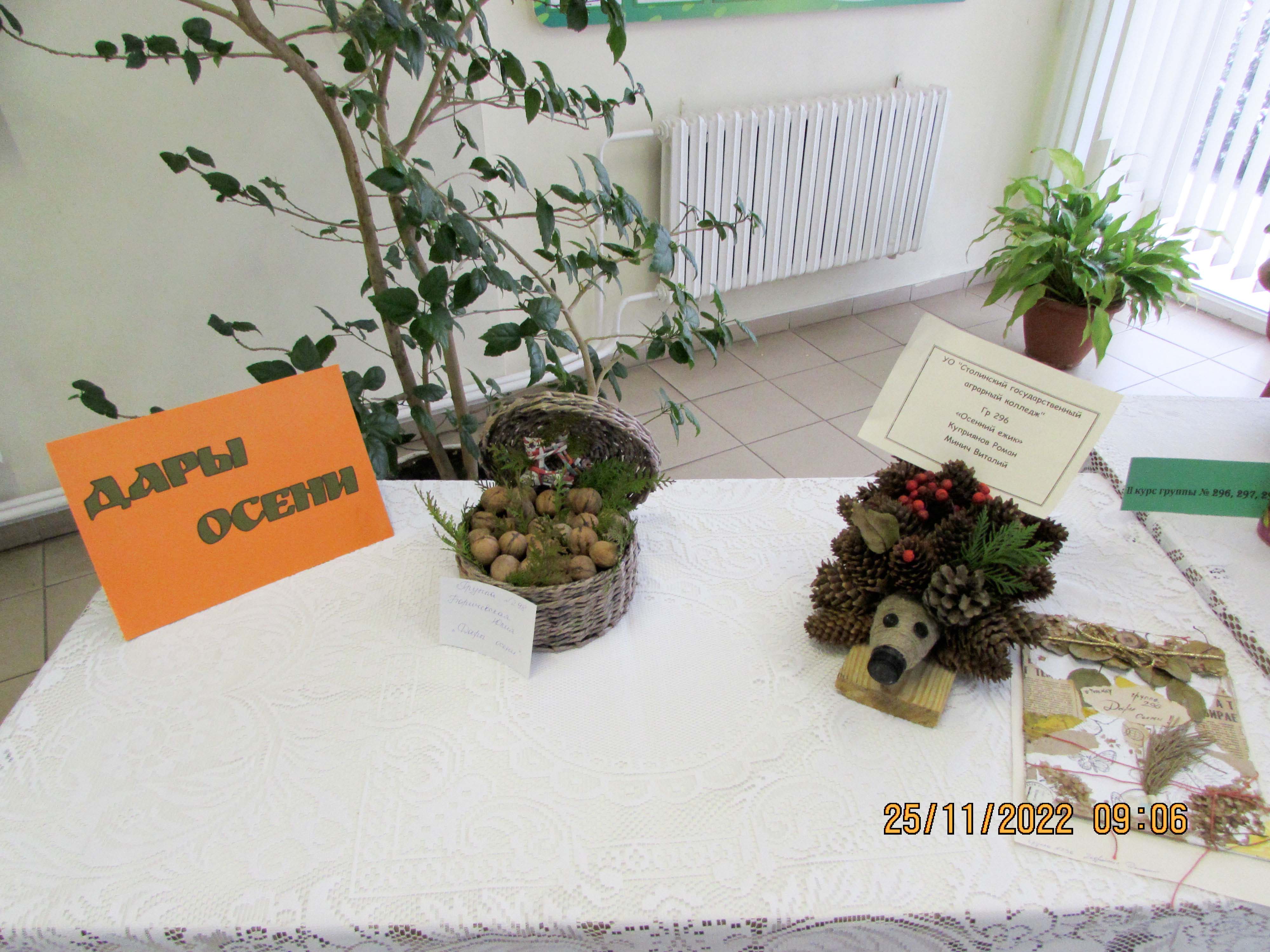 Ярмарка-конкурс Дары осени фото 6