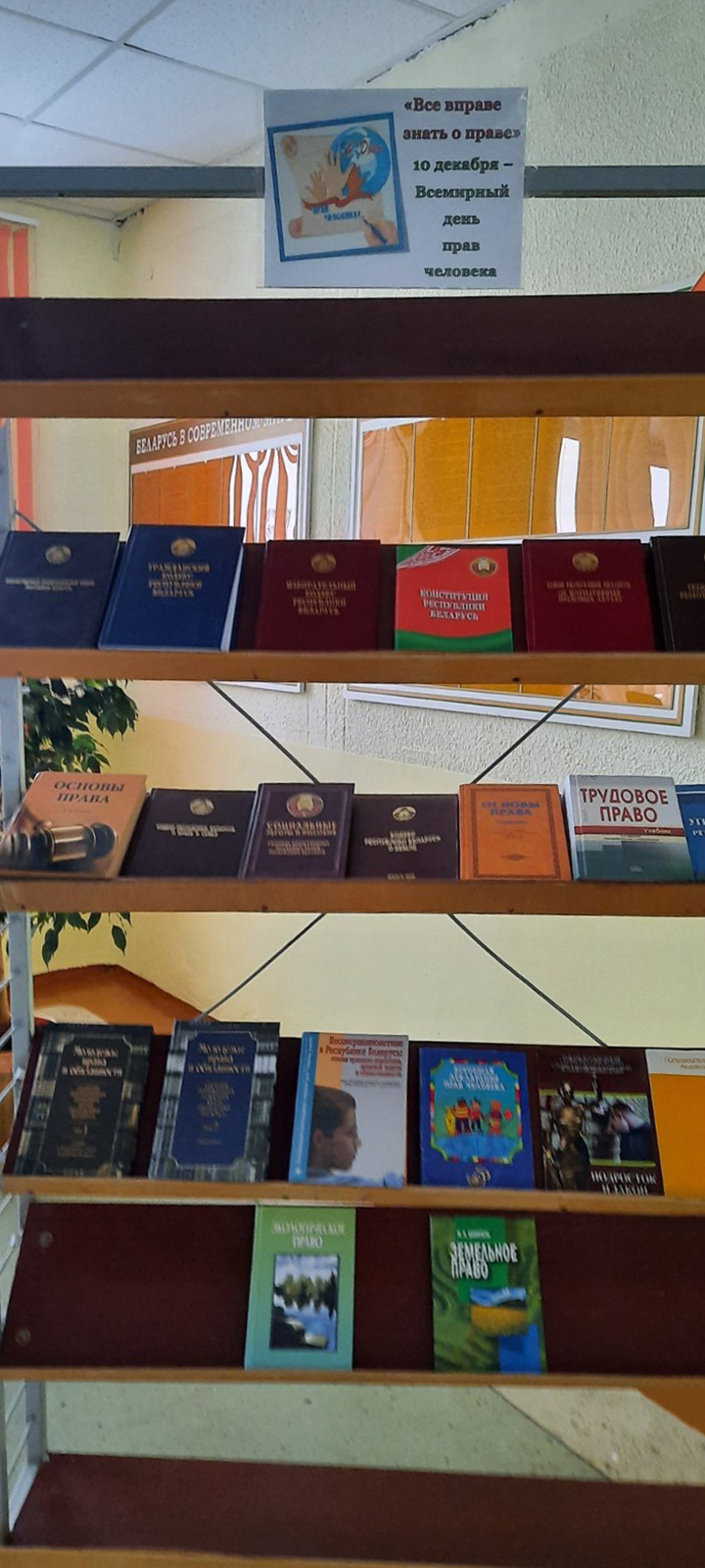Неделя правовых знаний фото 2