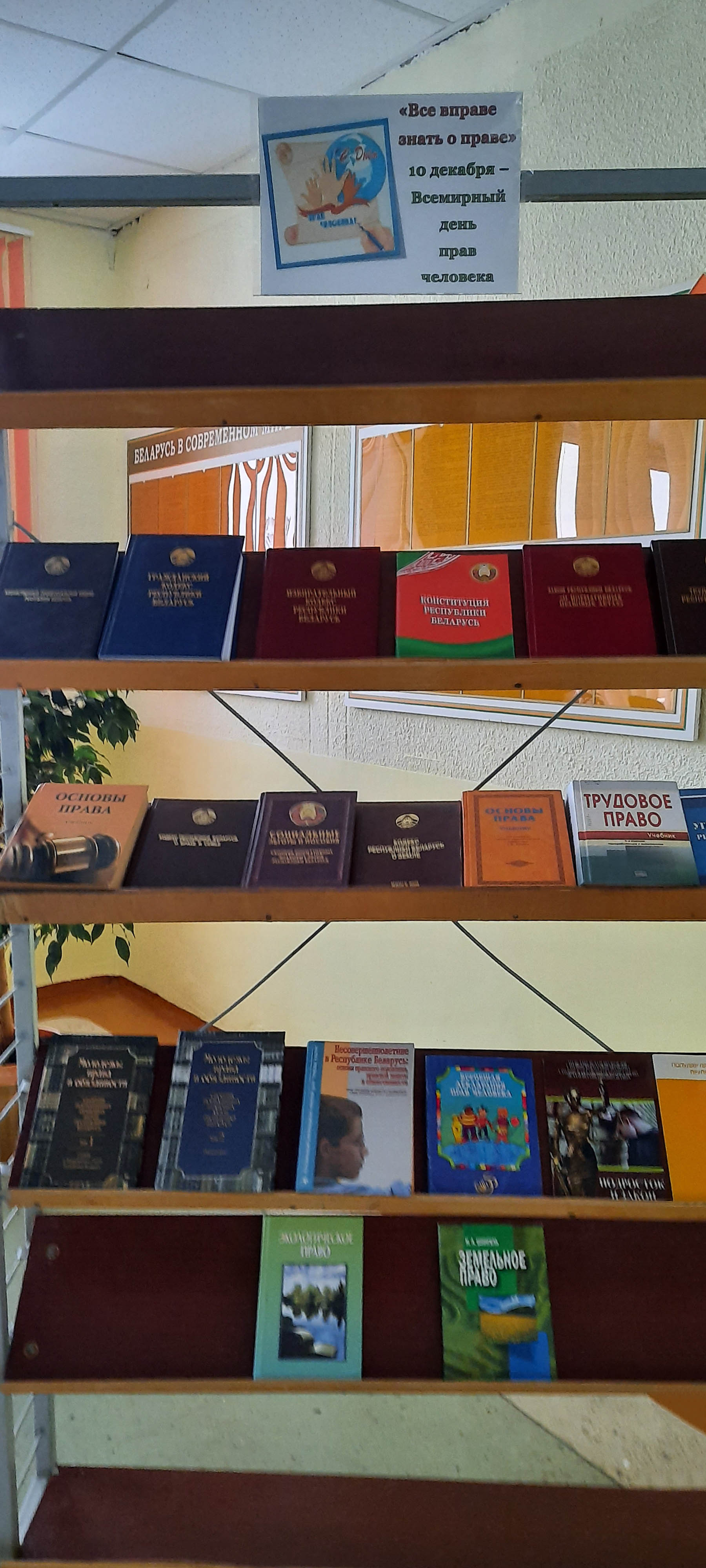 Тематическая выставка, посвящённая дню прав человека