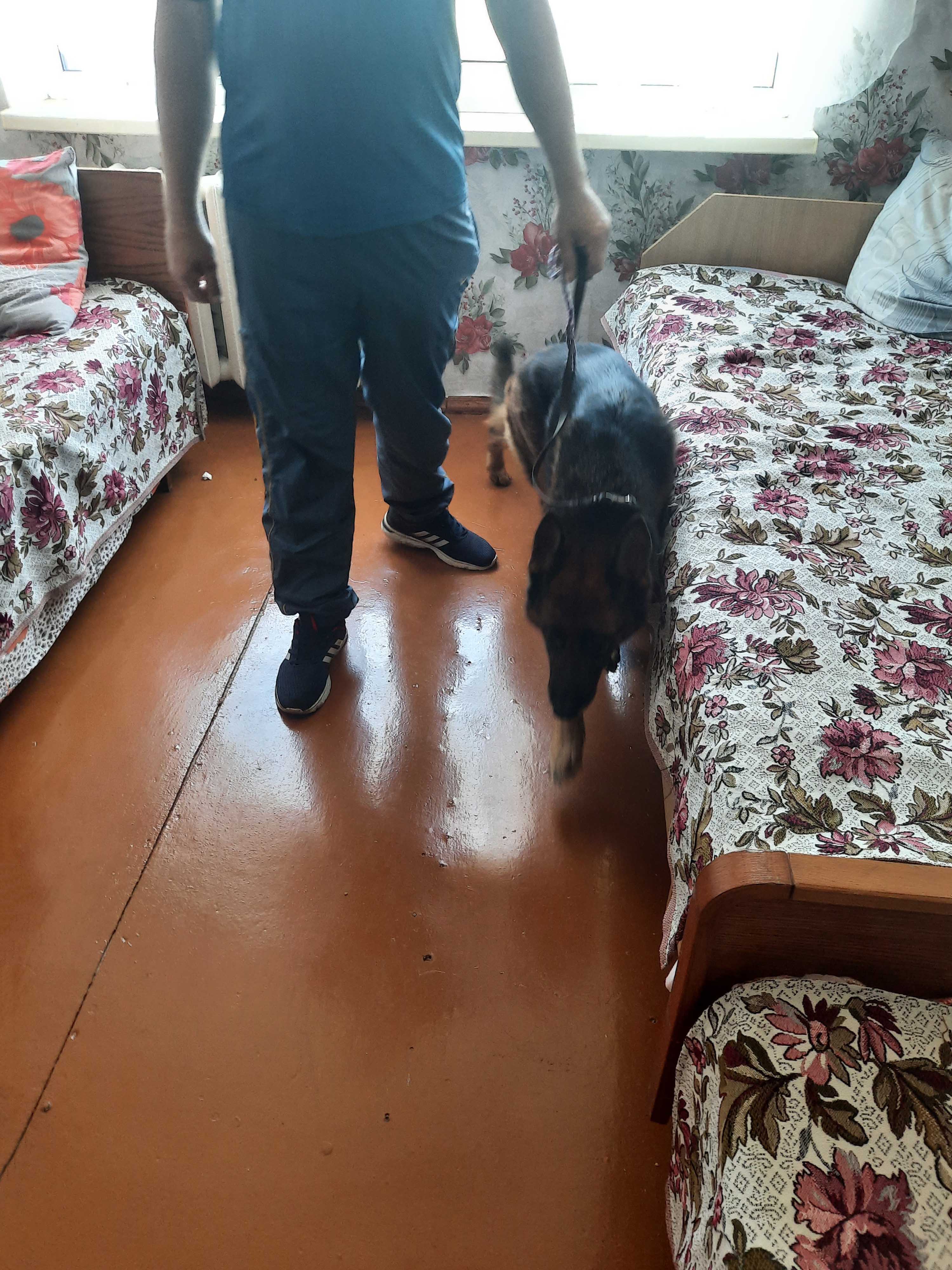 Рейд по выявлению запрещённых веществ фото 3