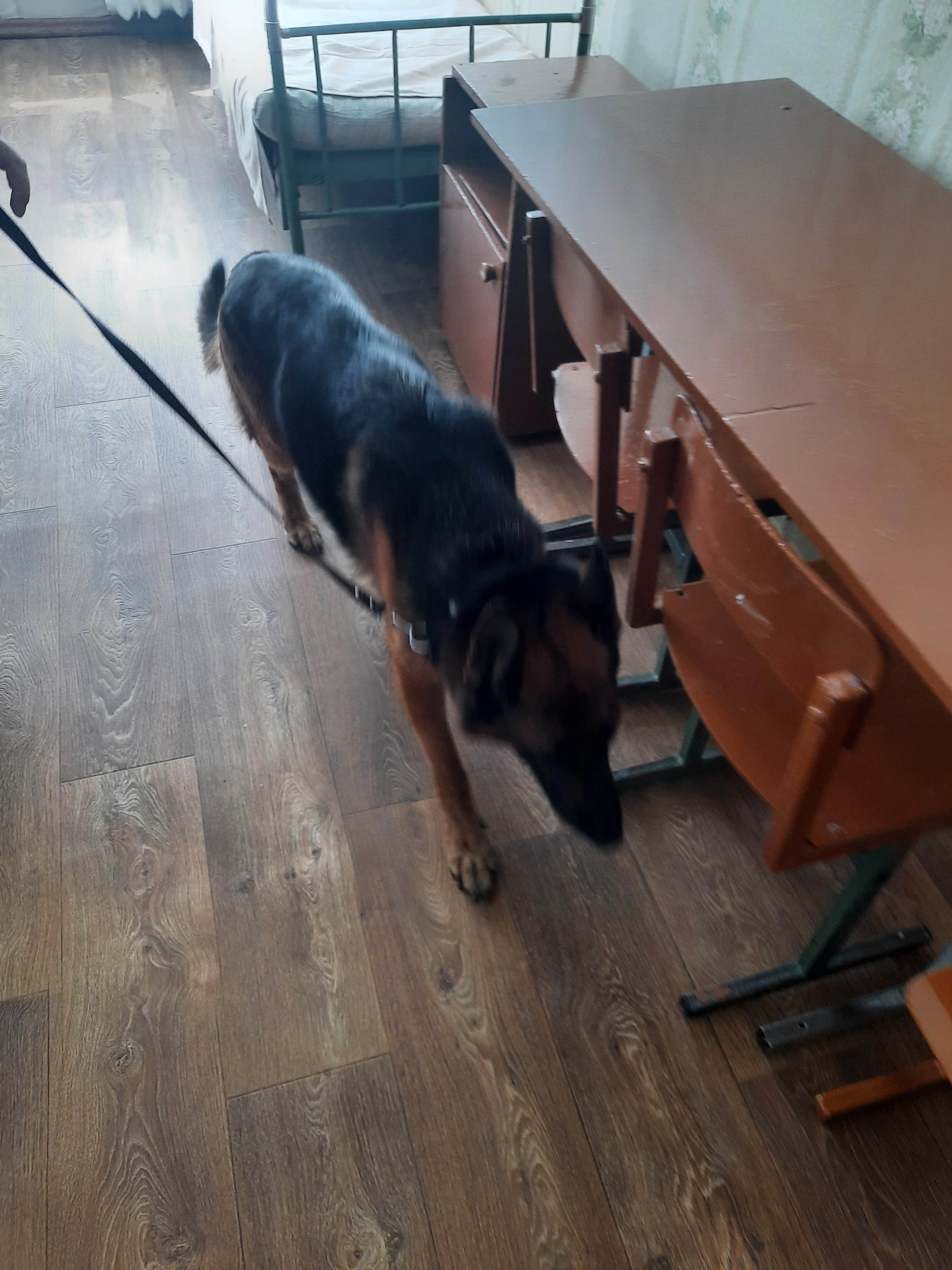 Рейд по выявлению запрещённых веществ фото 4