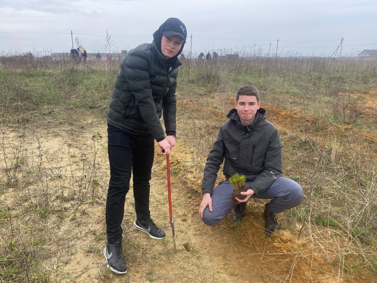 Очередная посадка деревьев фото 2