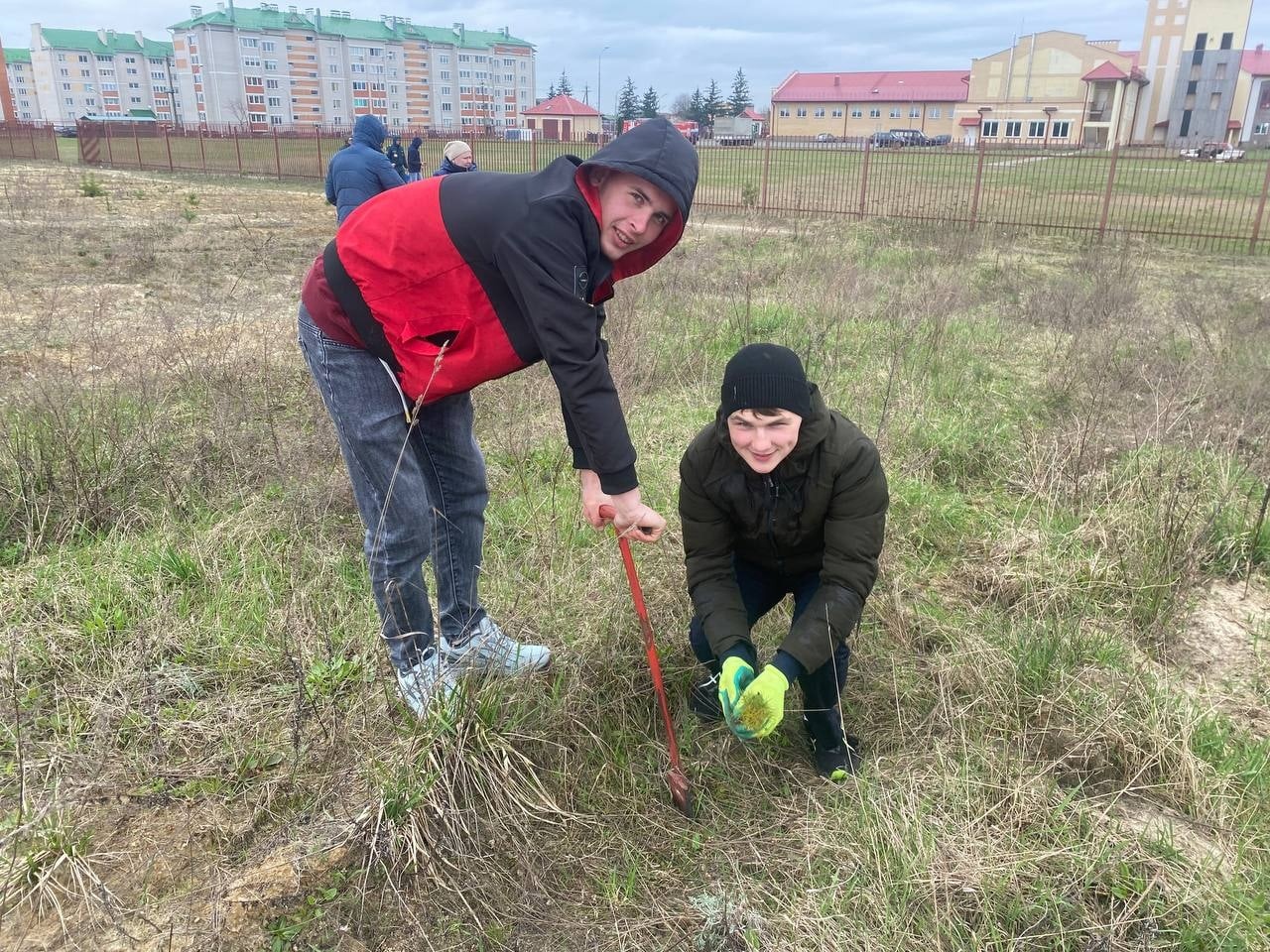 Очередная посадка деревьев фото 4