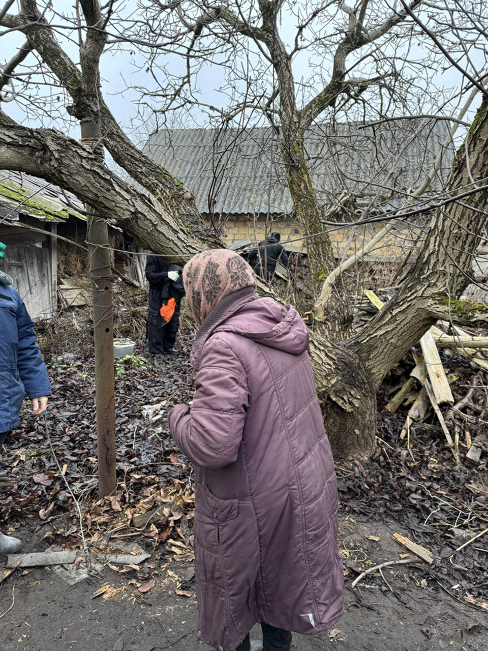 Поздравление и помощь одинокой жительнице фото 7