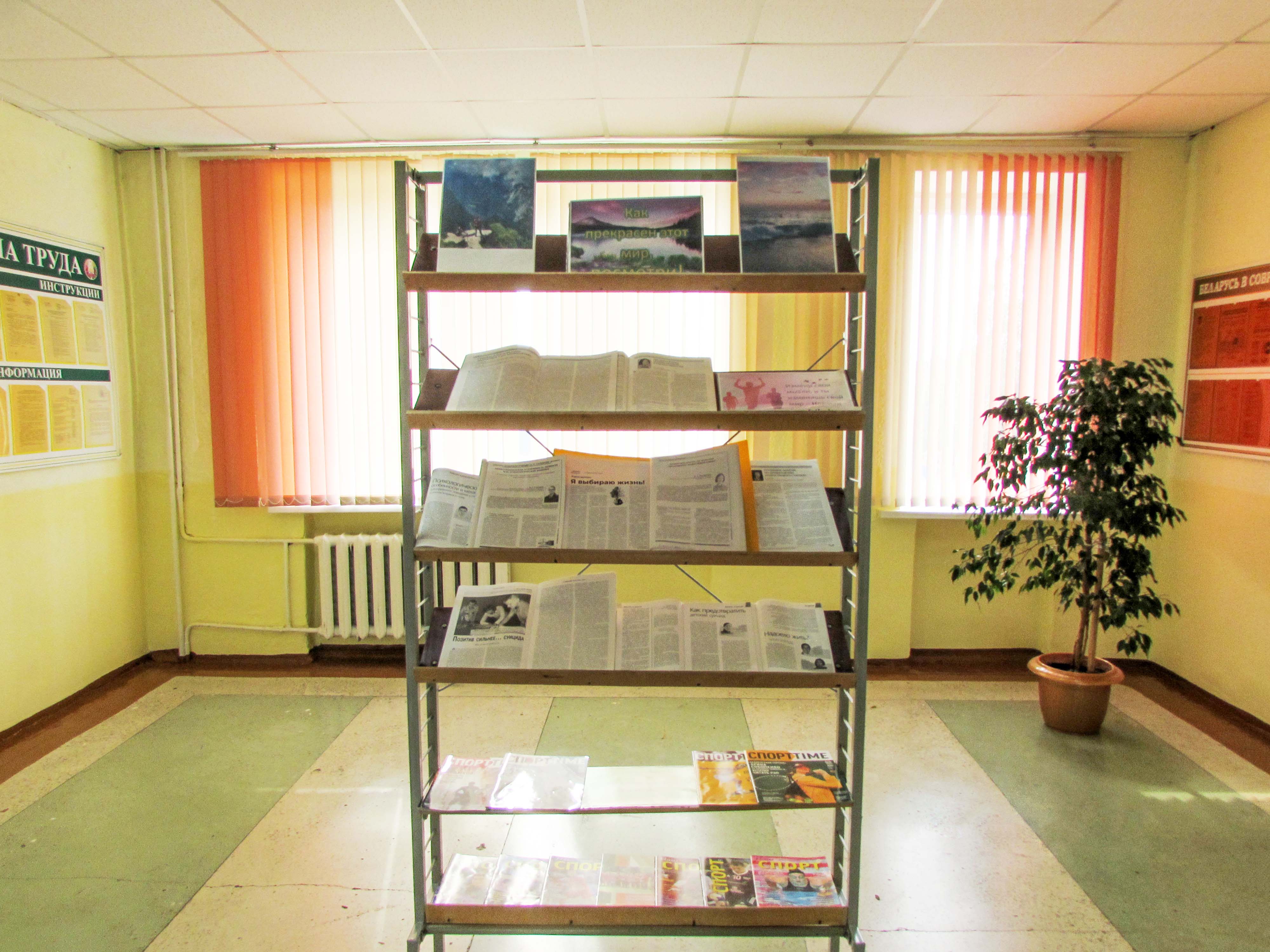 Выставка литературы, периодических изданий Как прекрасен этот мир