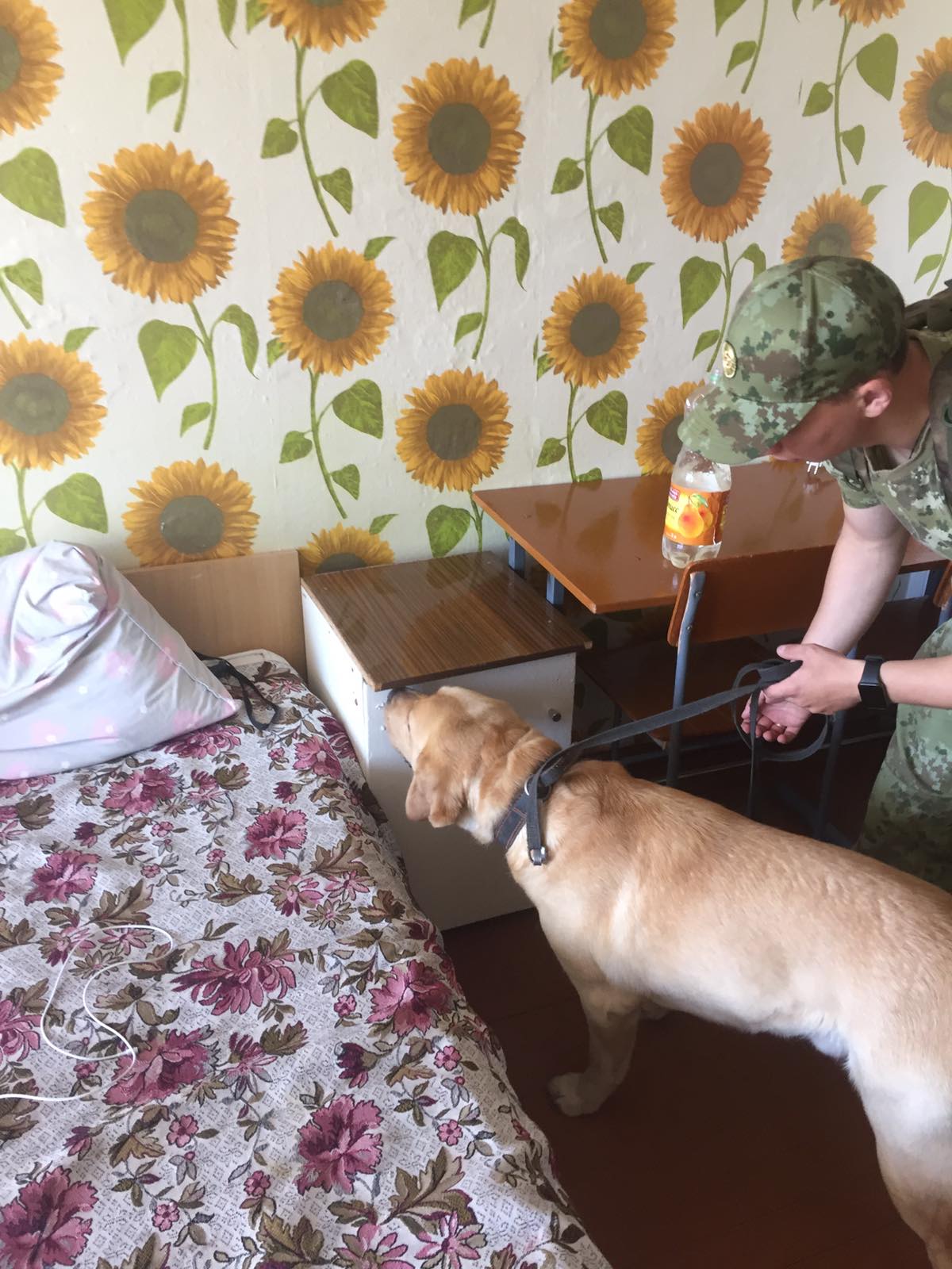 Рейд по выявлению запрещённых веществ фото 2