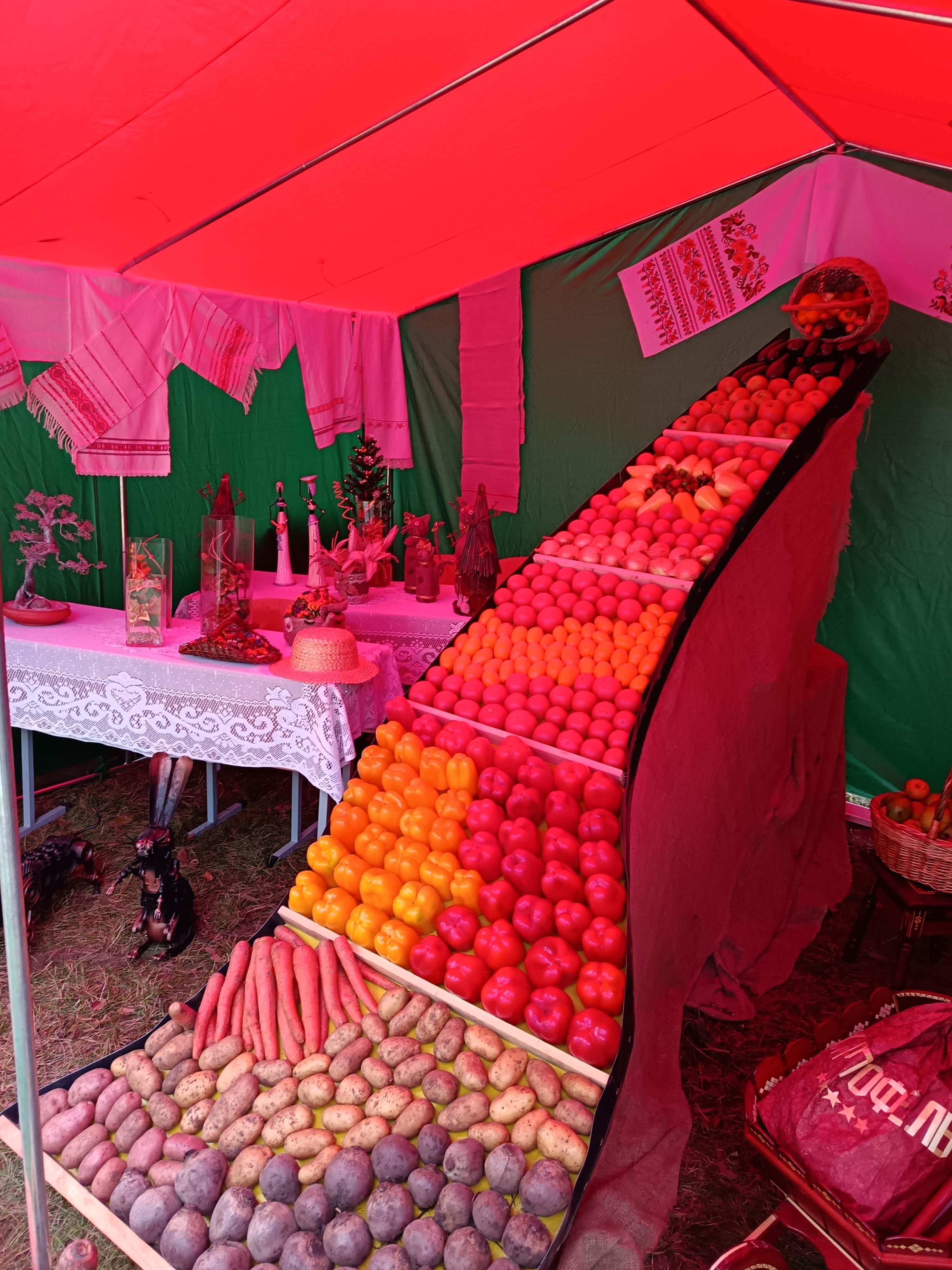 Областные Дожинки фото 14