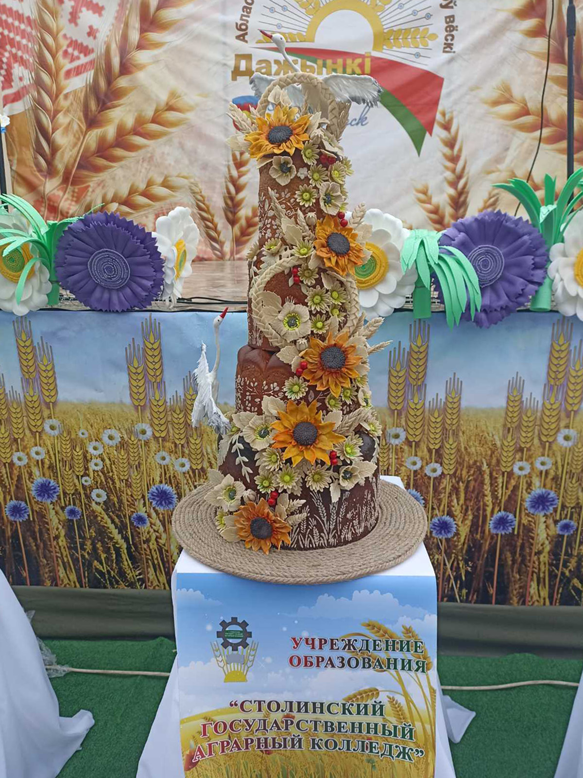 Областные Дожинки фото 7