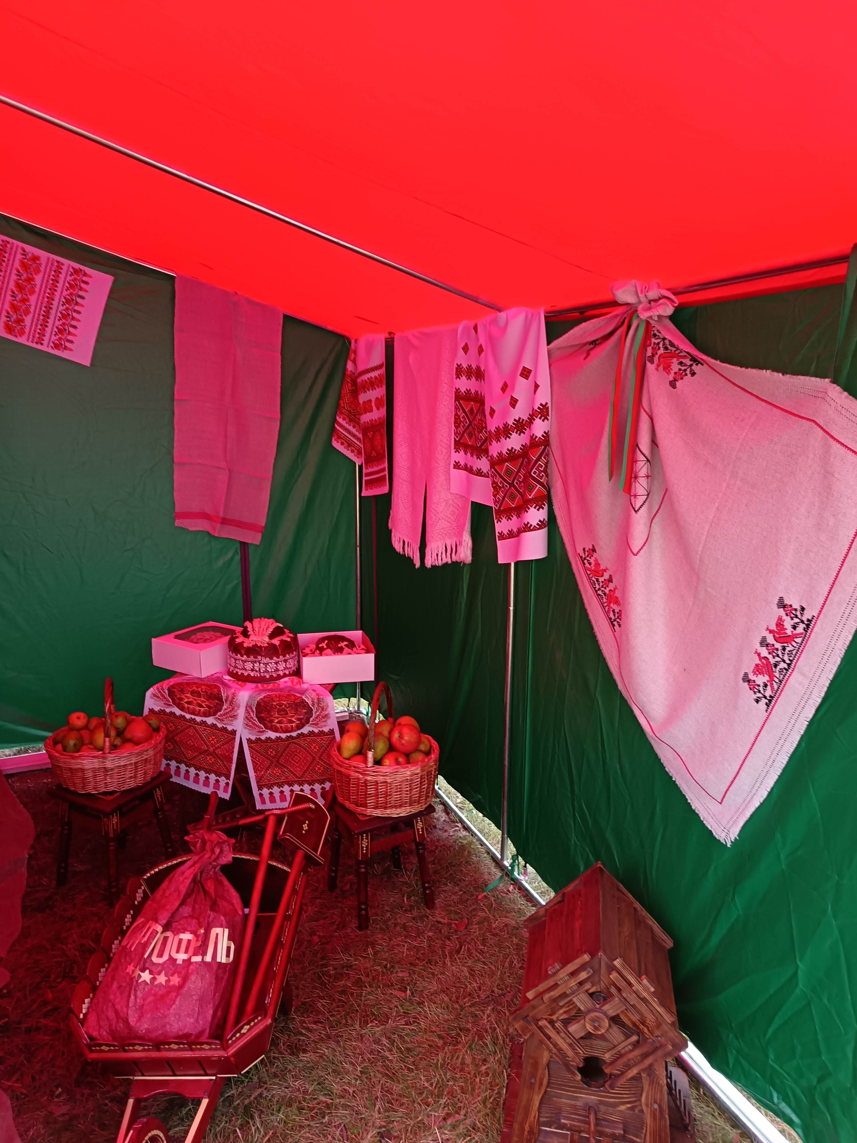 Областные Дожинки фото 13