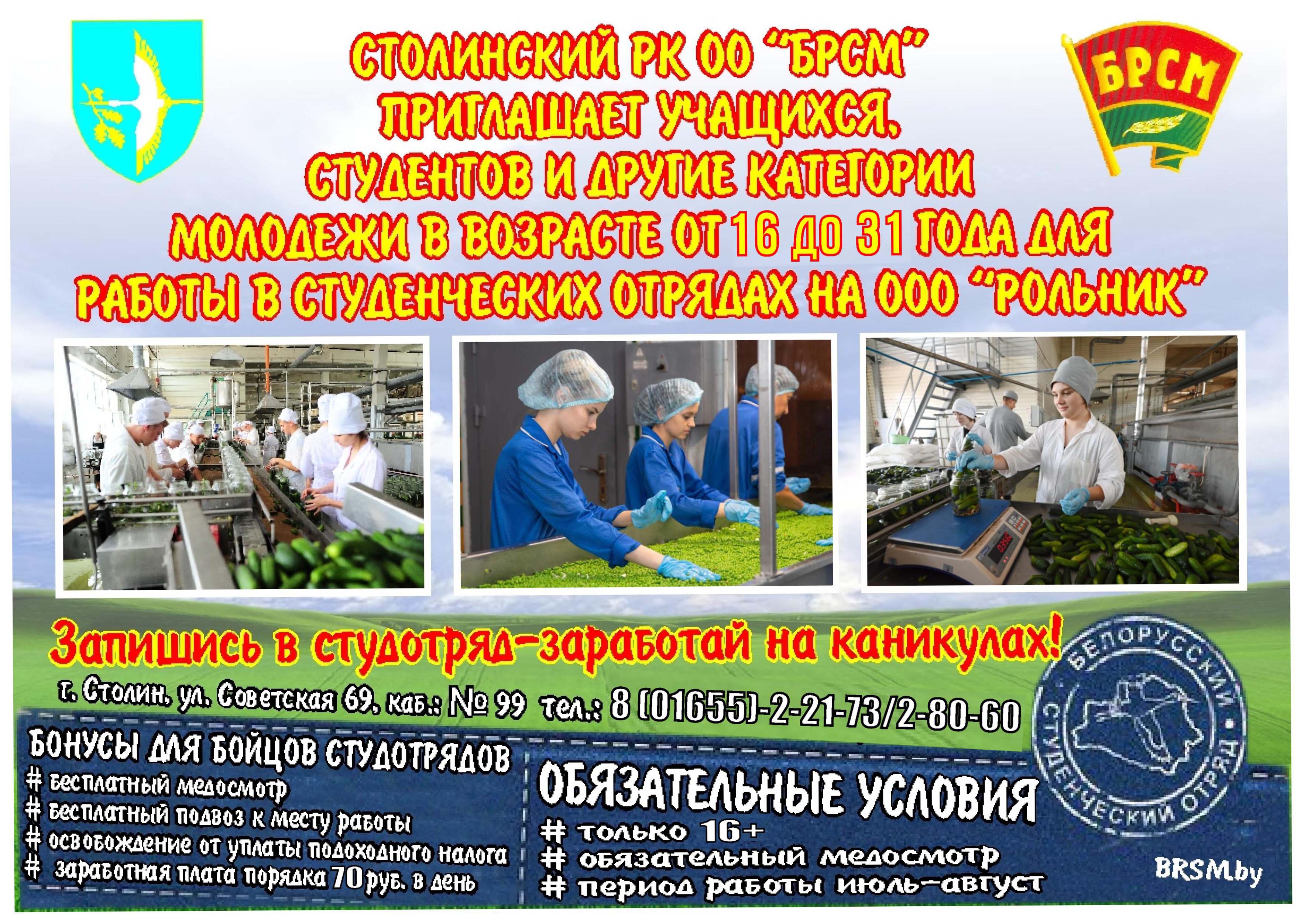 Работа в студенческих отрядах Постер